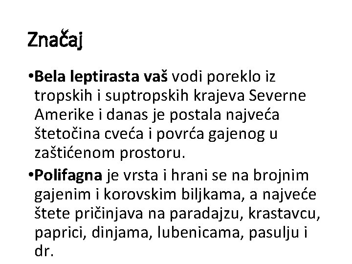 Značaj • Bela leptirasta vaš vodi poreklo iz tropskih i suptropskih krajeva Severne Amerike