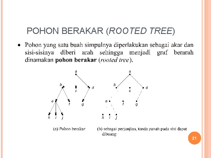 POHON BERAKAR (ROOTED TREE) 21 