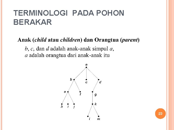 TERMINOLOGI PADA POHON BERAKAR 23 