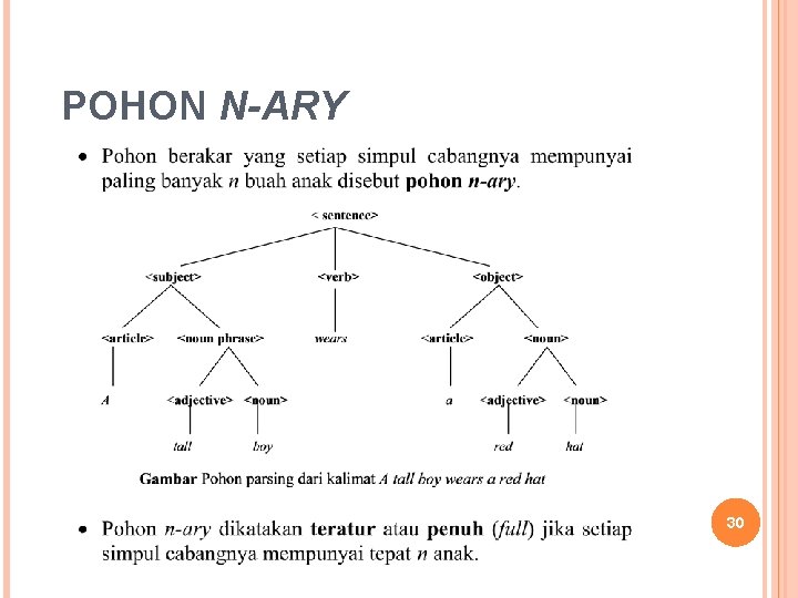 POHON N-ARY 30 