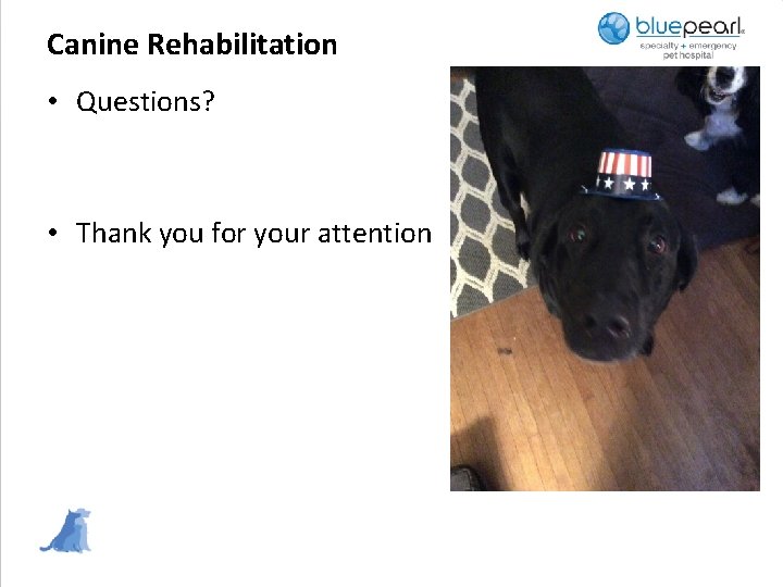 Canine Rehabilitation • Questions? • Thank you for your attention 