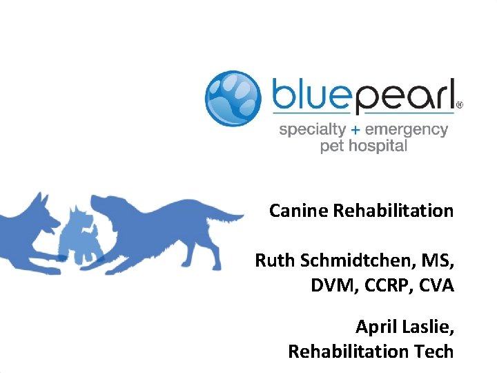 Canine Rehabilitation Ruth Schmidtchen, MS, DVM, CCRP, CVA April Laslie, Rehabilitation Tech 