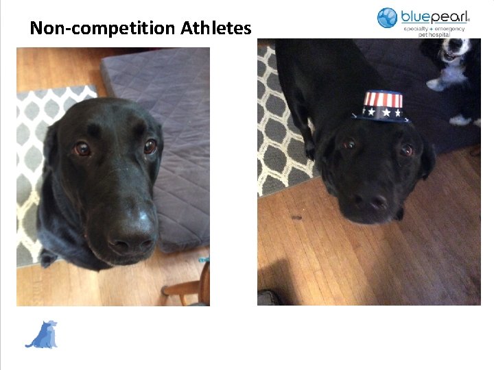 Non-competition Athletes 