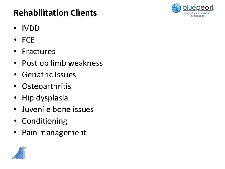 Rehabilitation Clients • • • IVDD FCE Fractures Post op limb weakness Geriatric Issues