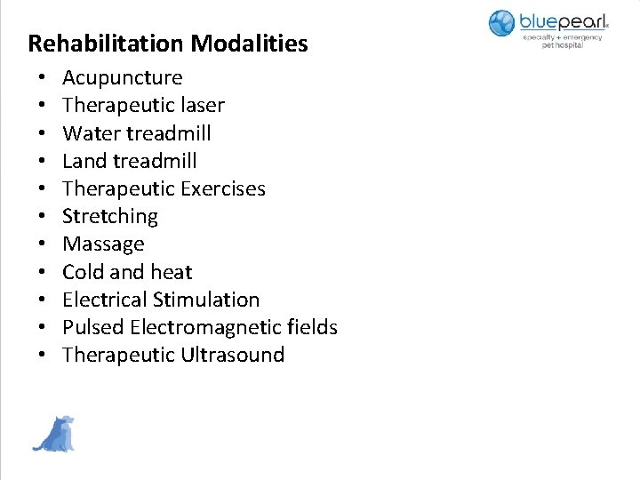 Rehabilitation Modalities • • • Acupuncture Therapeutic laser Water treadmill Land treadmill Therapeutic Exercises