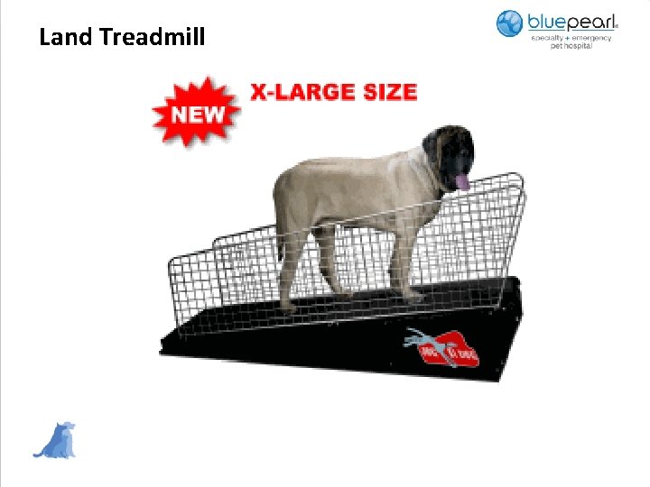 Land Treadmill 