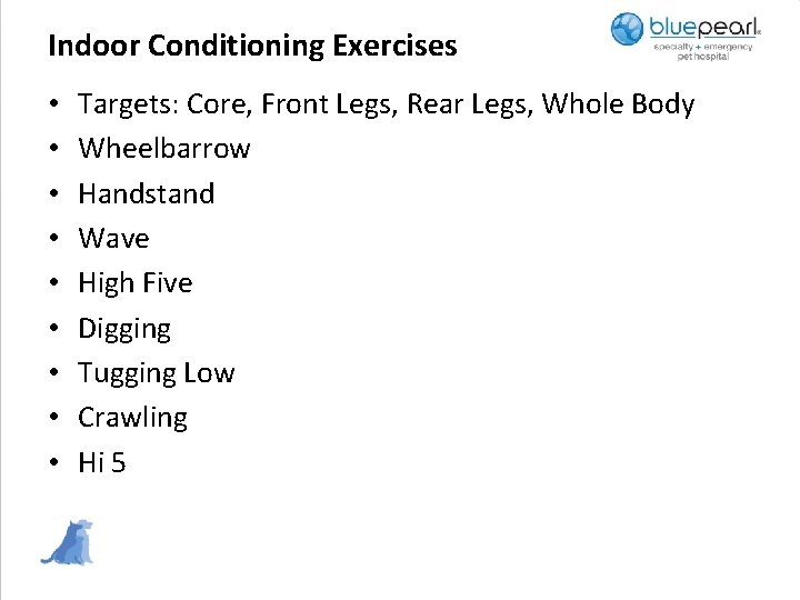 Indoor Conditioning Exercises • • • Targets: Core, Front Legs, Rear Legs, Whole Body