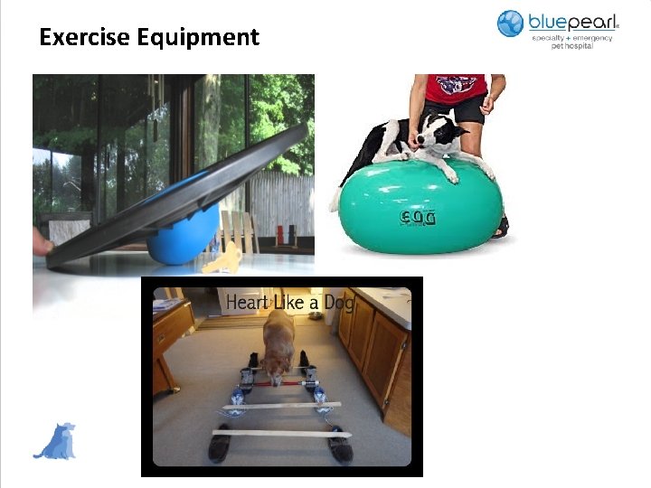 Exercise Equipment 