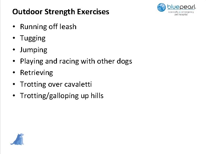Outdoor Strength Exercises • • Running off leash Tugging Jumping Playing and racing with