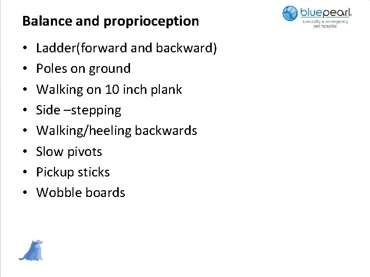 Balance and proprioception • • Ladder(forward and backward) Poles on ground Walking on 10