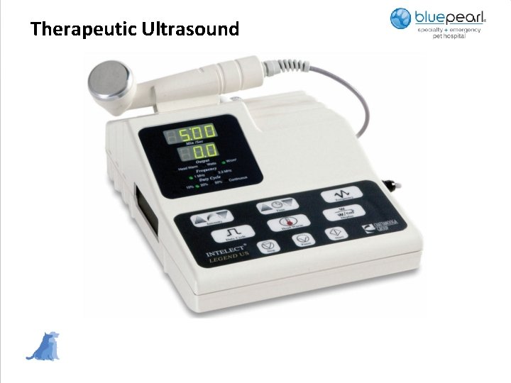 Therapeutic Ultrasound 