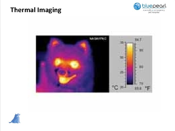 Thermal Imaging 