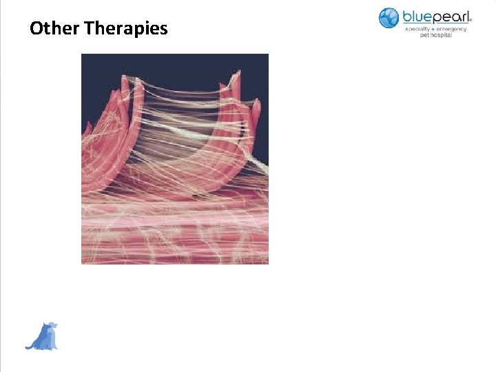 Other Therapies 