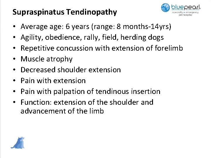 Supraspinatus Tendinopathy • • Average age: 6 years (range: 8 months-14 yrs) Agility, obedience,