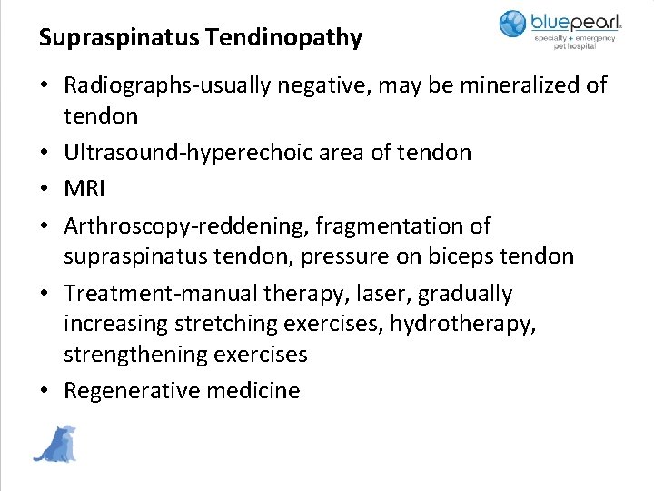 Supraspinatus Tendinopathy • Radiographs-usually negative, may be mineralized of tendon • Ultrasound-hyperechoic area of