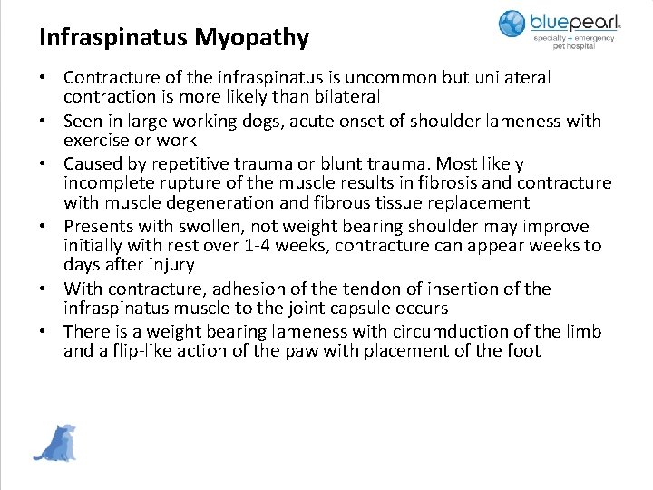 Infraspinatus Myopathy • Contracture of the infraspinatus is uncommon but unilateral contraction is more