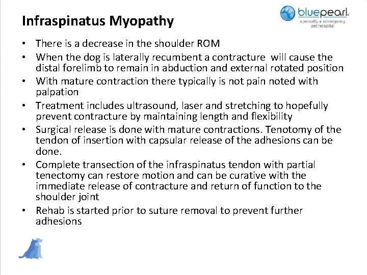Infraspinatus Myopathy • There is a decrease in the shoulder ROM • When the