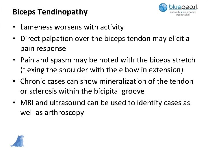 Biceps Tendinopathy • Lameness worsens with activity • Direct palpation over the biceps tendon