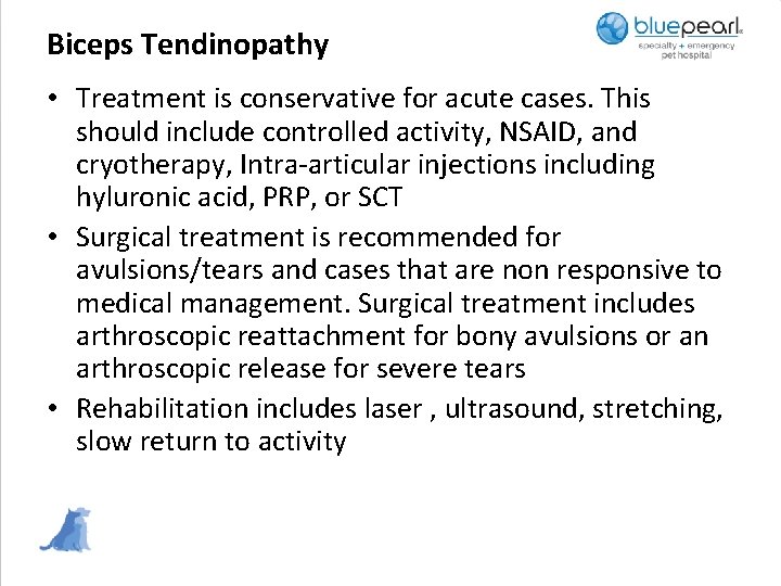 Biceps Tendinopathy • Treatment is conservative for acute cases. This should include controlled activity,