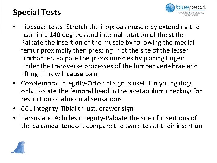 Special Tests • Iliopsoas tests- Stretch the iliopsoas muscle by extending the rear limb