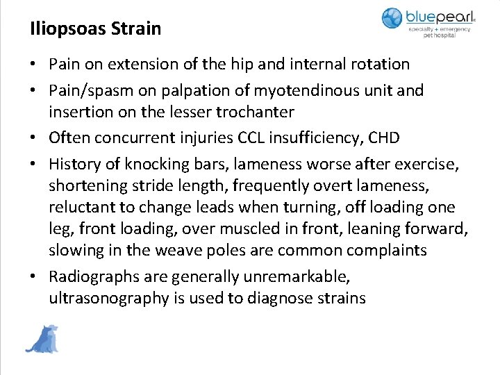 Iliopsoas Strain • Pain on extension of the hip and internal rotation • Pain/spasm