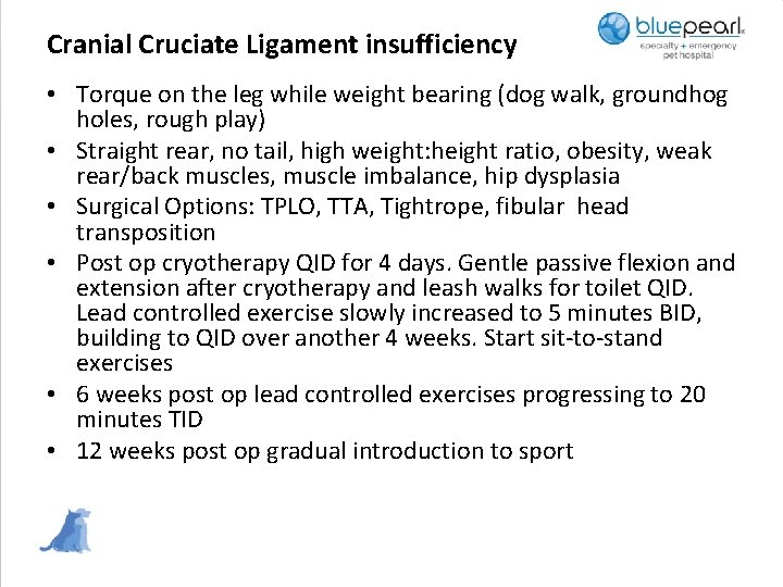 Cranial Cruciate Ligament insufficiency • Torque on the leg while weight bearing (dog walk,