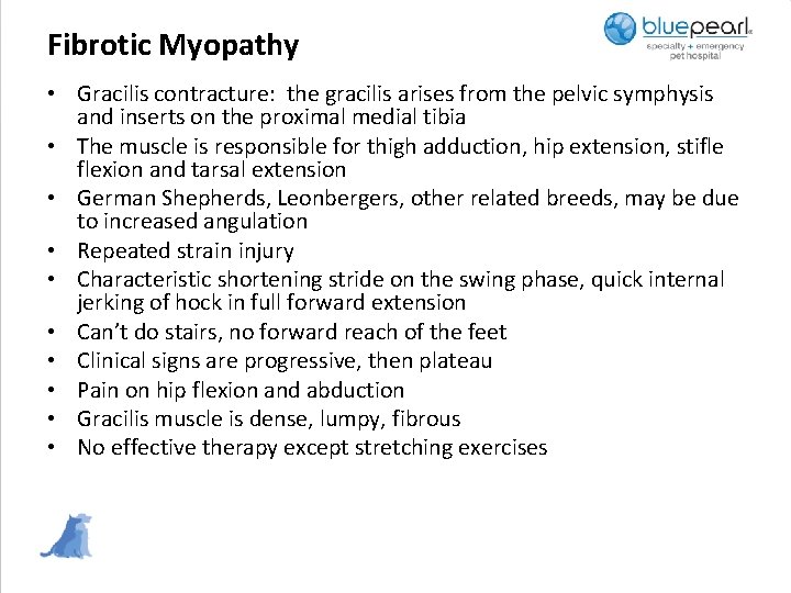 Fibrotic Myopathy • Gracilis contracture: the gracilis arises from the pelvic symphysis and inserts