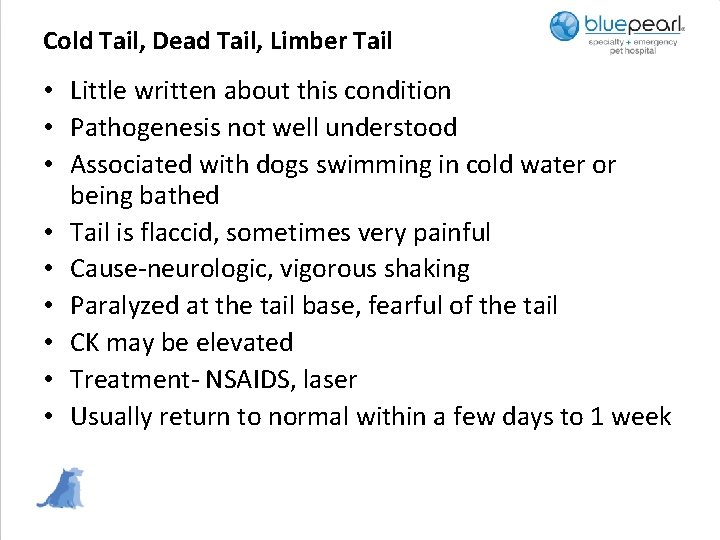 Cold Tail, Dead Tail, Limber Tail • Little written about this condition • Pathogenesis