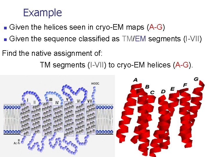 Example n Given the helices seen in cryo-EM maps (A-G) n Given the sequence