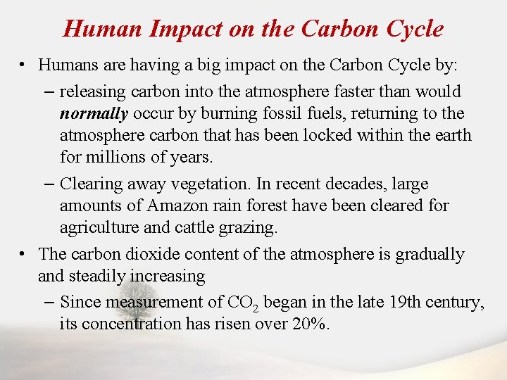 Human Impact on the Carbon Cycle • Humans are having a big impact on