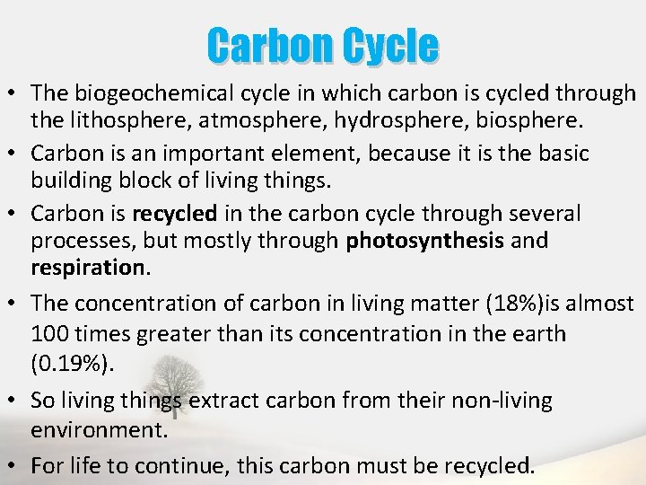 Carbon Cycle • The biogeochemical cycle in which carbon is cycled through the lithosphere,