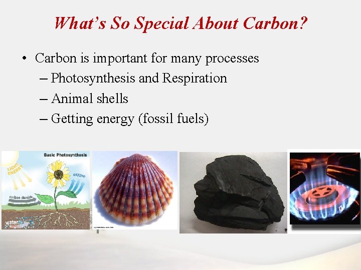 What’s So Special About Carbon? • Carbon is important for many processes – Photosynthesis