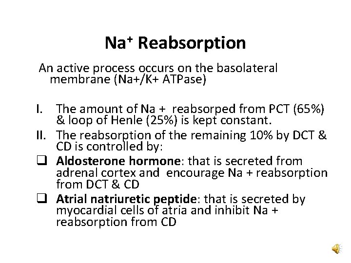 Na+ Reabsorption An active process occurs on the basolateral membrane (Na+/K+ ATPase) I. The