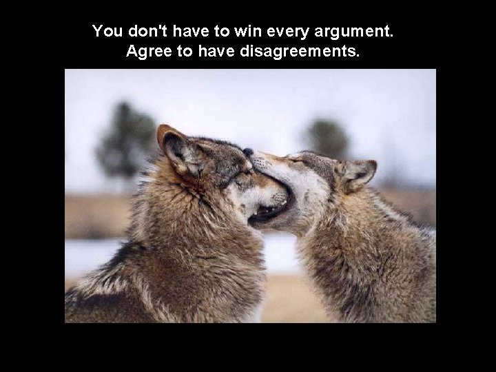 You don't have to win every argument. Agree to have disagreements. 