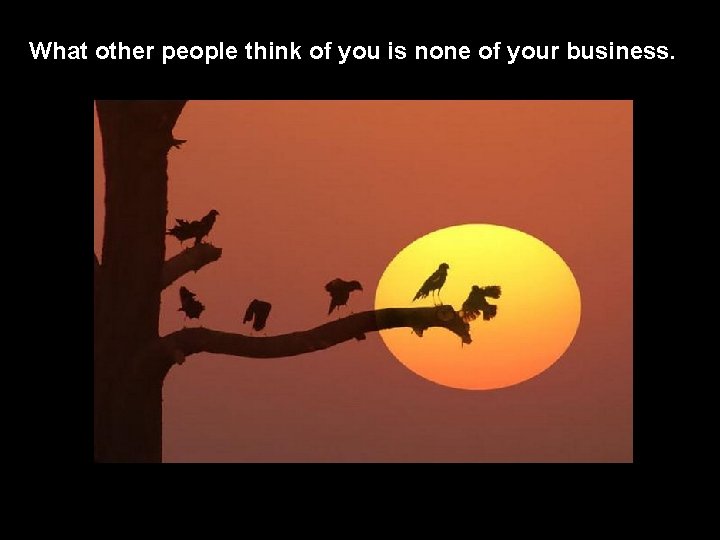 What other people think of you is none of your business. 