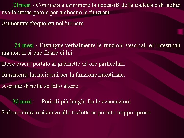 21 mesi - Comincia a esprimere la necessità della toeletta e di solito usa