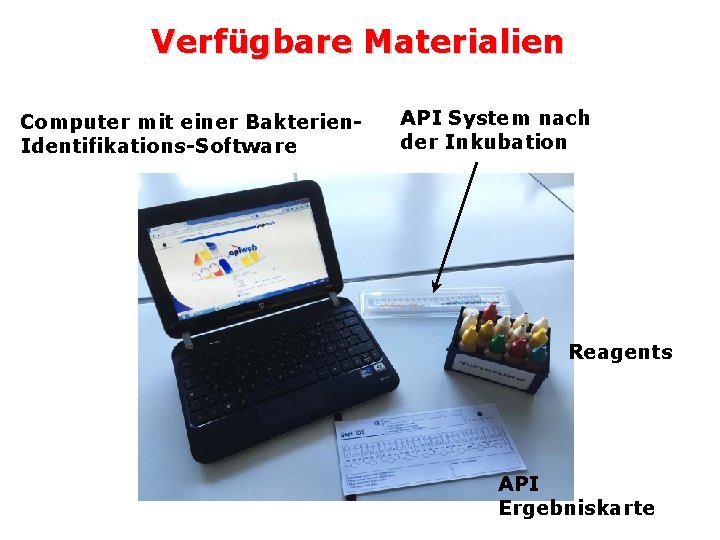 Verfügbare Materialien Computer mit einer Bakterien. Identifikations-Software API System nach der Inkubation Reagents API