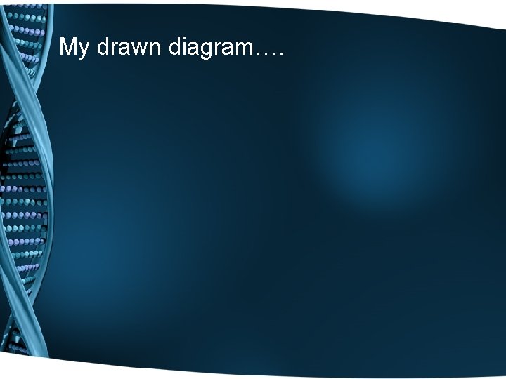 My drawn diagram…. 