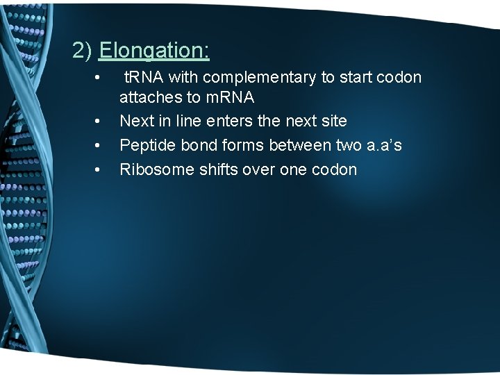 2) Elongation: • • t. RNA with complementary to start codon attaches to m.