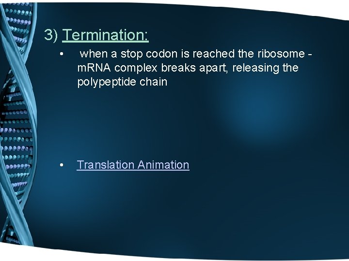 3) Termination: • when a stop codon is reached the ribosome m. RNA complex