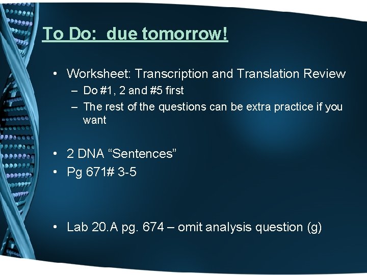 To Do: due tomorrow! • Worksheet: Transcription and Translation Review – Do #1, 2
