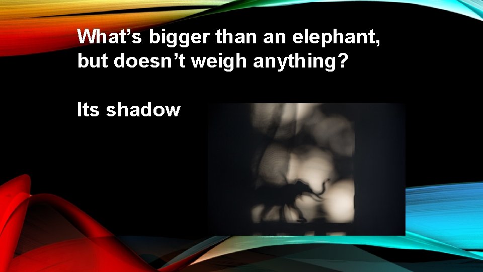 What’s bigger than an elephant, but doesn’t weigh anything? Its shadow 