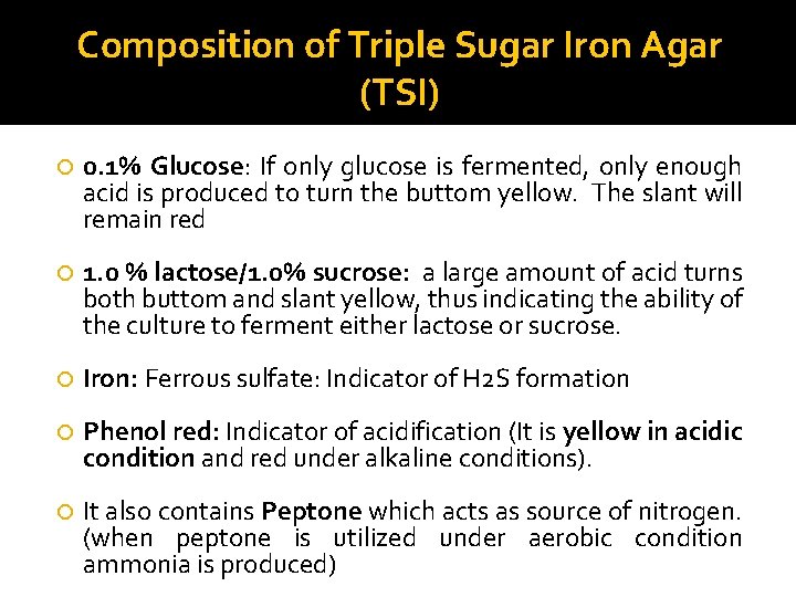 Composition of Triple Sugar Iron Agar (TSI) 0. 1% Glucose: If only glucose is