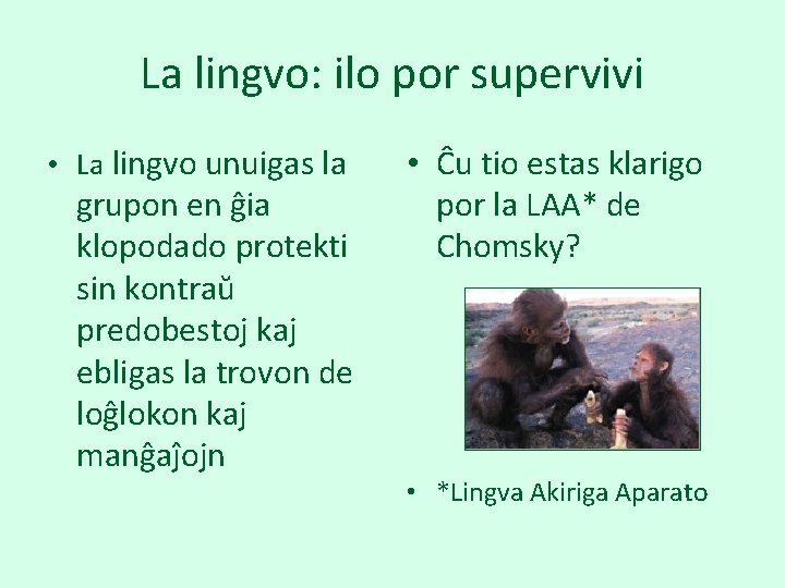 La lingvo: ilo por supervivi • La lingvo unuigas la grupon en ĝia klopodado