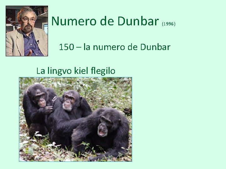 Numero de Dunbar • (1996) 150 – la numero de Dunbar La lingvo kiel