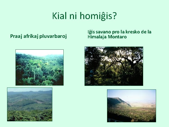 Kial ni homiĝis? Praaj afrikaj pluvarbaroj Iĝis savano pro la kresko de la Himalaja