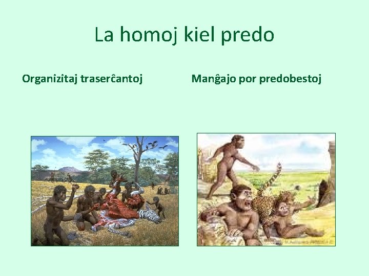 La homoj kiel predo Organizitaj traserĉantoj Manĝajo por predobestoj 