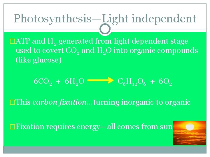Photosynthesis—Light independent �ATP and H 2 generated from light dependent stage used to covert