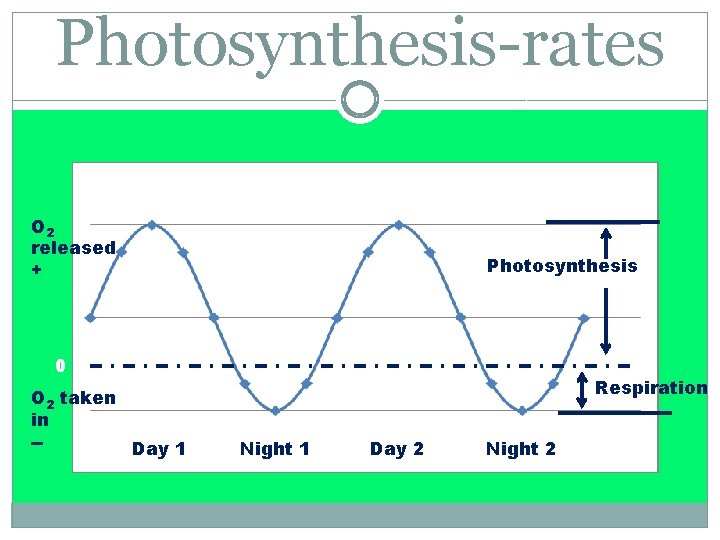 Photosynthesis-rates O 2 released + Photosynthesis 0 O 2 taken in -Day 1 Respiration