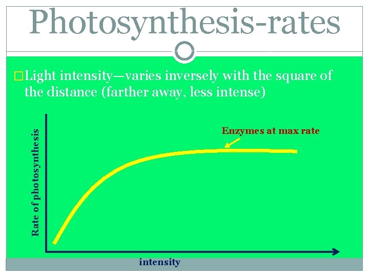 Photosynthesis-rates �Light intensity—varies inversely with the square of the distance (farther away, less intense)